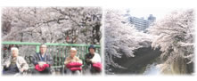 4月 お花見